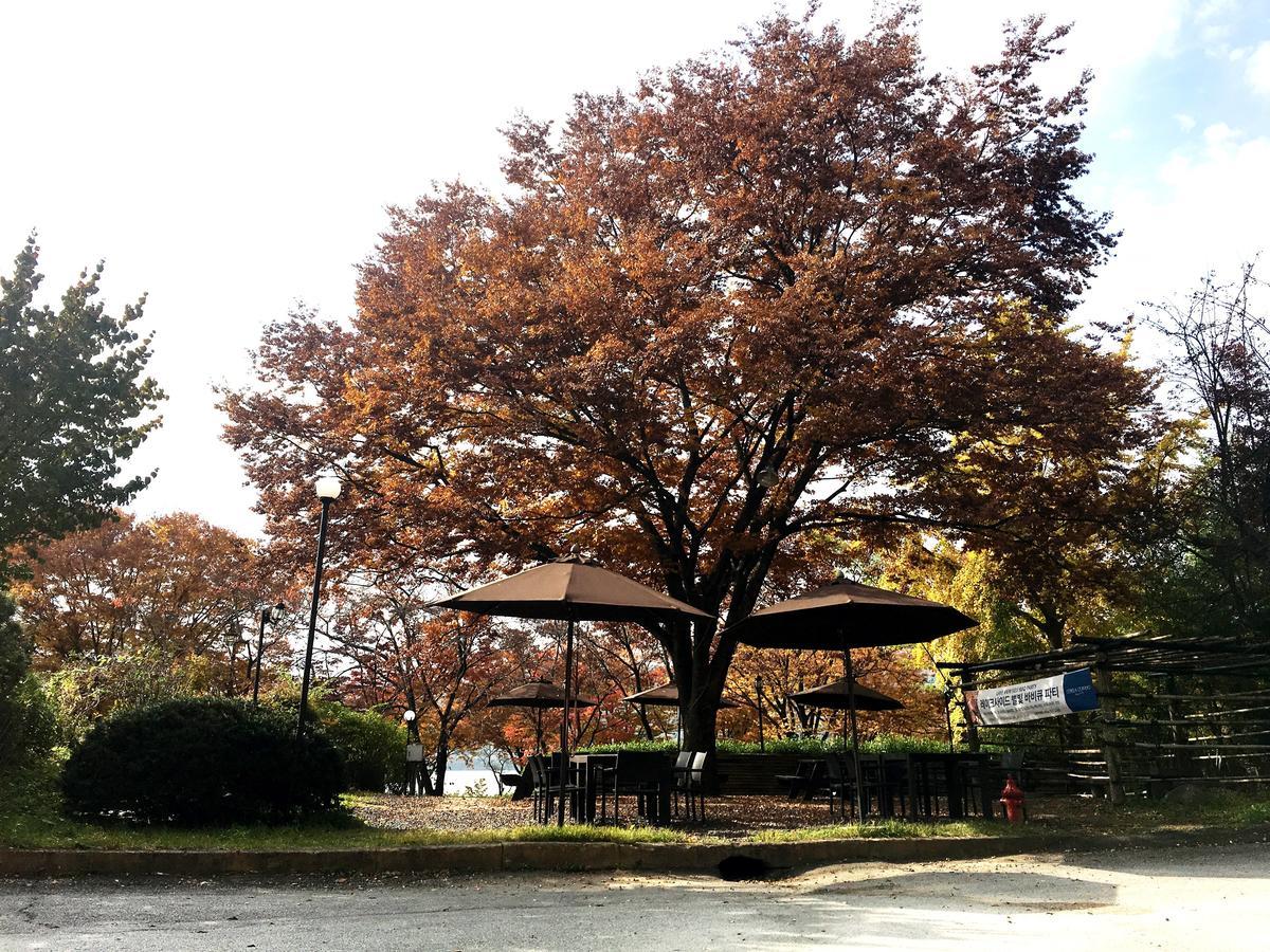Corea Condo 庆州 外观 照片