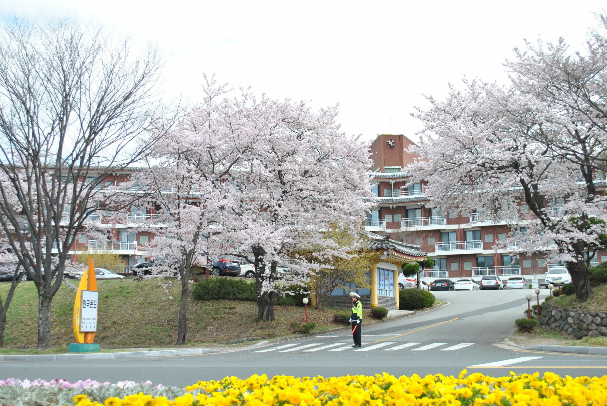 Corea Condo 庆州 外观 照片
