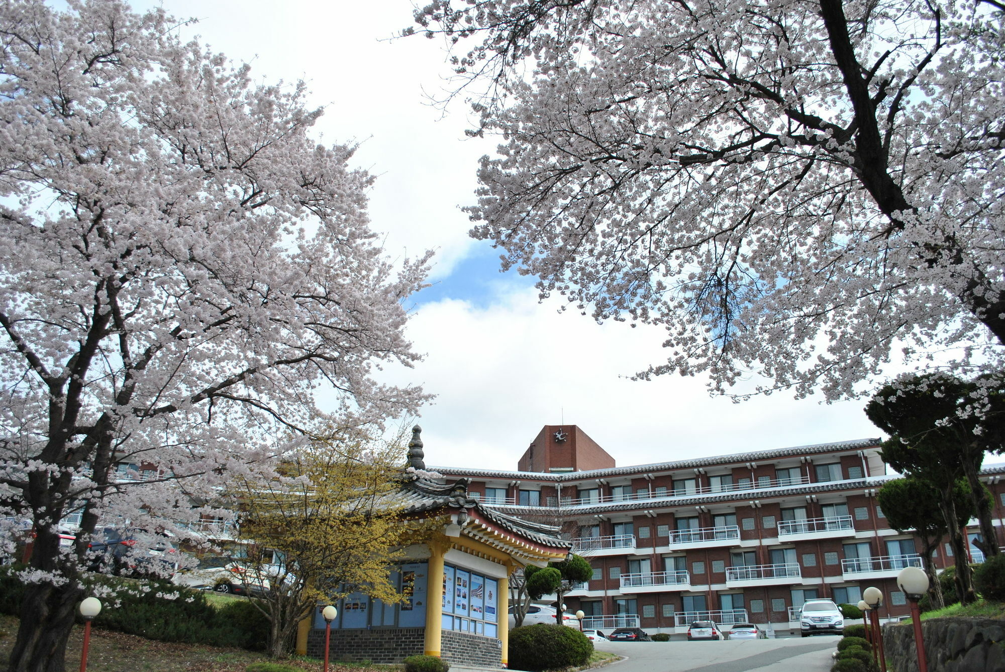 Corea Condo 庆州 外观 照片